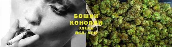 прущие грибы Абаза