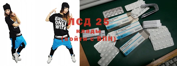 прущие грибы Абаза