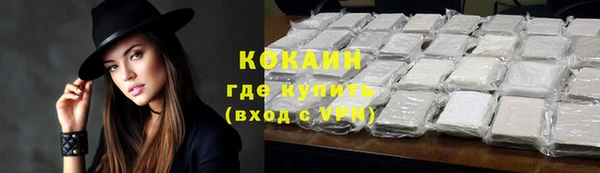 прущие грибы Абаза