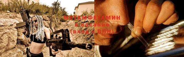 прущие грибы Абаза