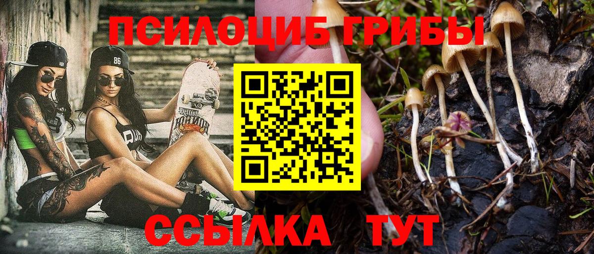 Псилоцибиновые грибы ЛСД  Галлюциногенные грибы Magic Shrooms  Вход с VPN  Алейск 